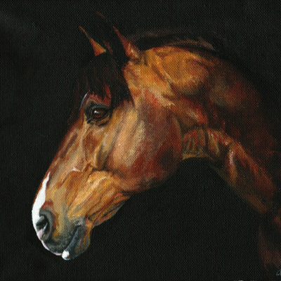 irish sport horse