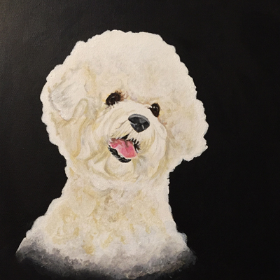 bichon